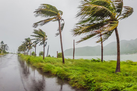 Hurricane Insurance Claims Adjuster